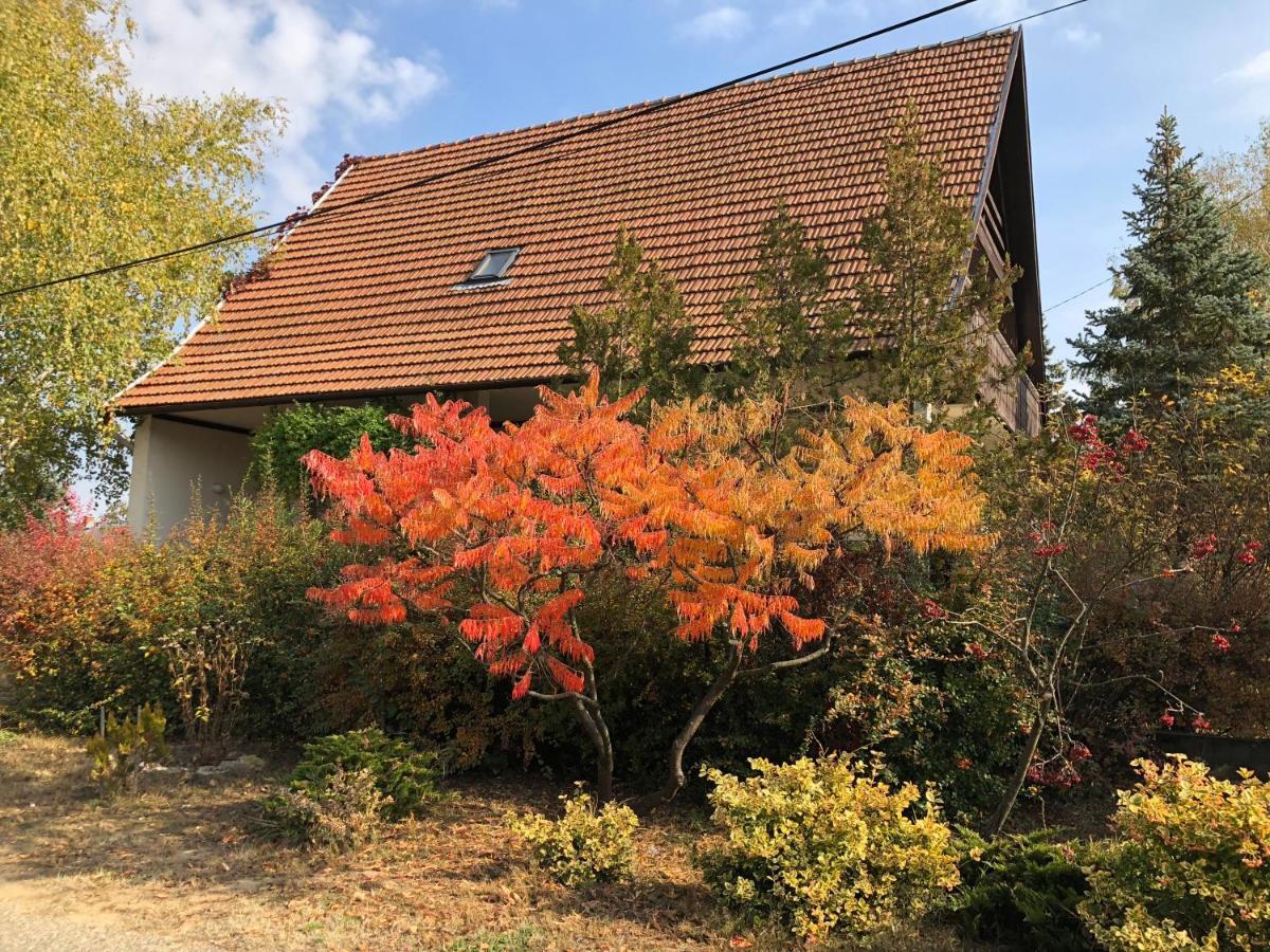 Veranda Apartman Nyíregyháza Exterior foto